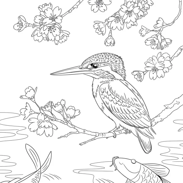 Kingfisher perched on cherry blossom branch, realistic line art style — free printable coloring page