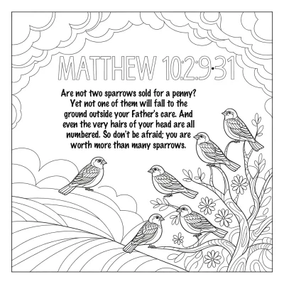 Birds Coloring Pages — coloring page collection