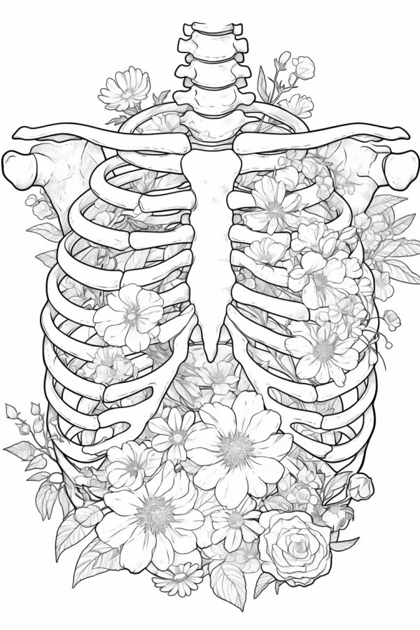 Coloring book page, ribcage filled with mixed flowers including daisies and roses — free printable human skeleton coloring book page