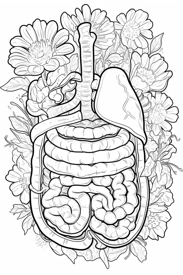 Human internal organs including lungs, intestines and rib cage surrounded by various flowers and leaves — free printable anatomy coloring book page