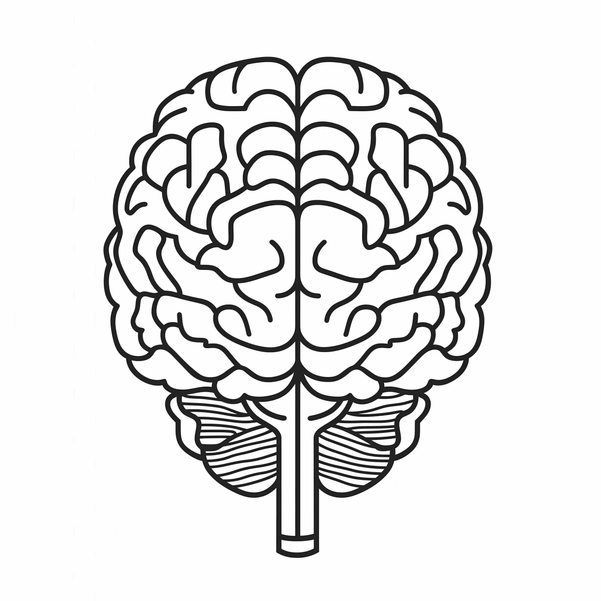 Realistic human brain, detailed brain gyri and brainstem — realistic style — moderate detail — line art coloring page — for kids and adults of all ages